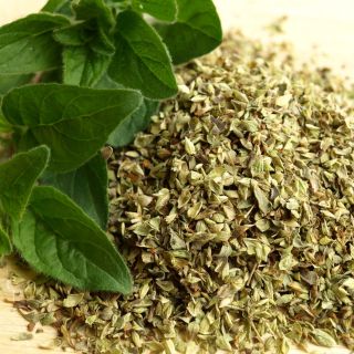 Oregano
