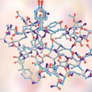 Mejora Sostenible de la Salud Metabólica